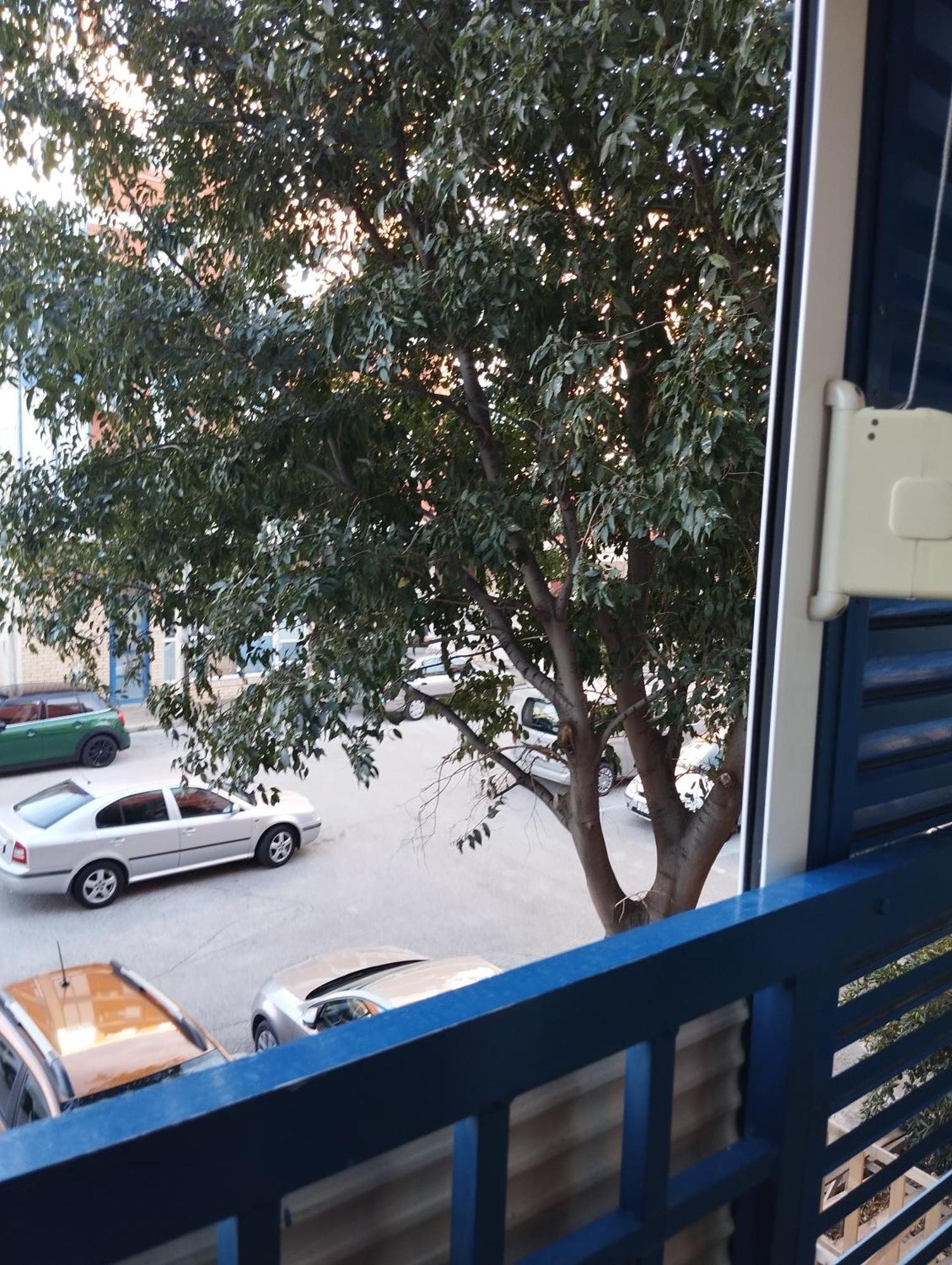 Noemi Apartment Zadar Bagian luar foto
